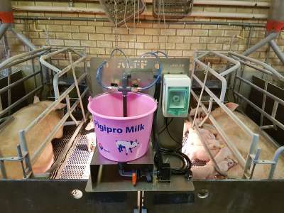 Ohrmarkenzange Für Rinder, Schafe & Schweine – 90° Drehbare Nadel, Automatische Verriegelung, Inkl. Ersatzstift & Clip