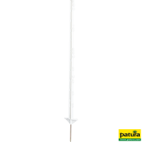 81-06-0295_web_0 81-06-0295_web_0