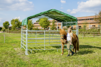 81-12-0025_web_0 81-12-0025_web_0